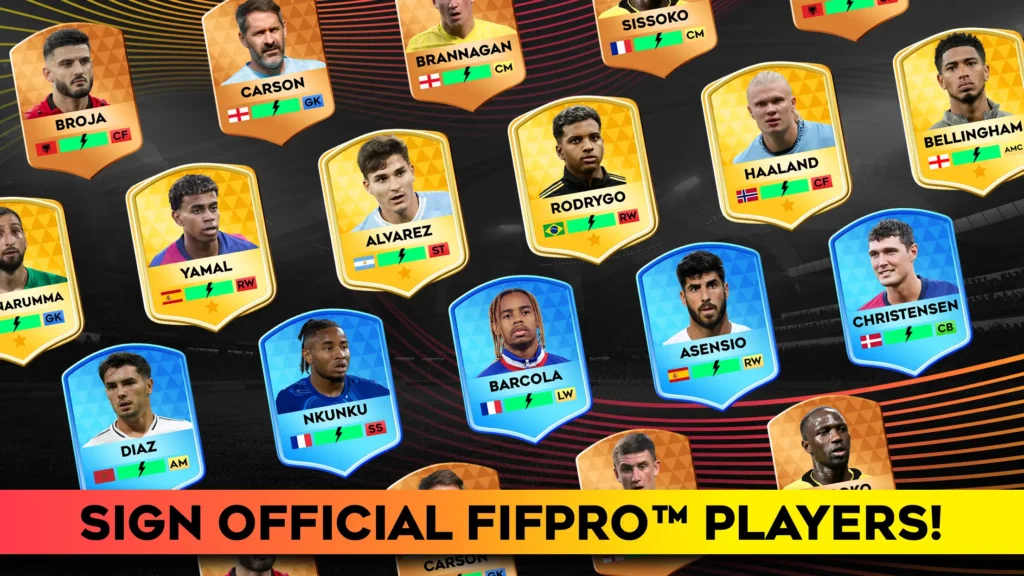 All Players Ready to Use