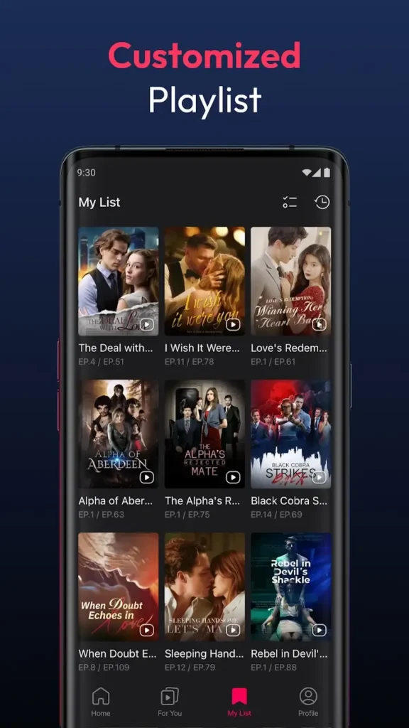 Customizable Experience