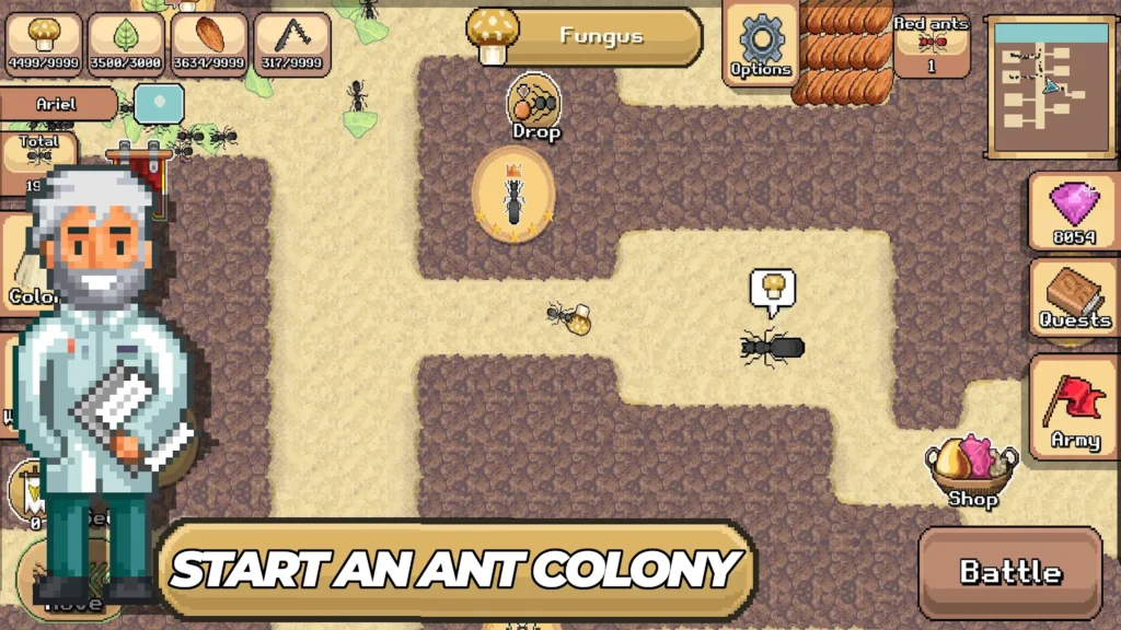 Pocket Ants and MOD Version Overview